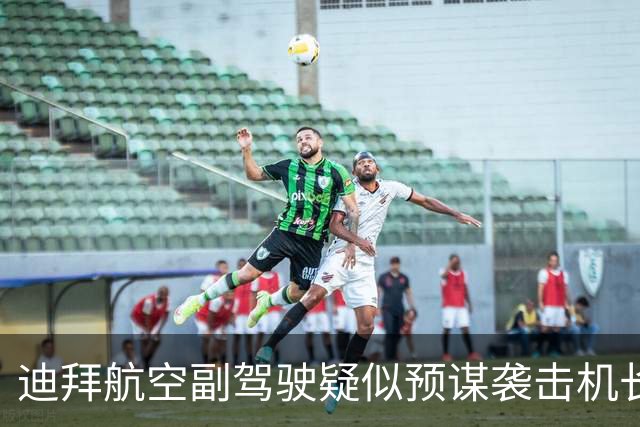 迪拜航空副驾驶疑似预谋袭击机长引发国际关注